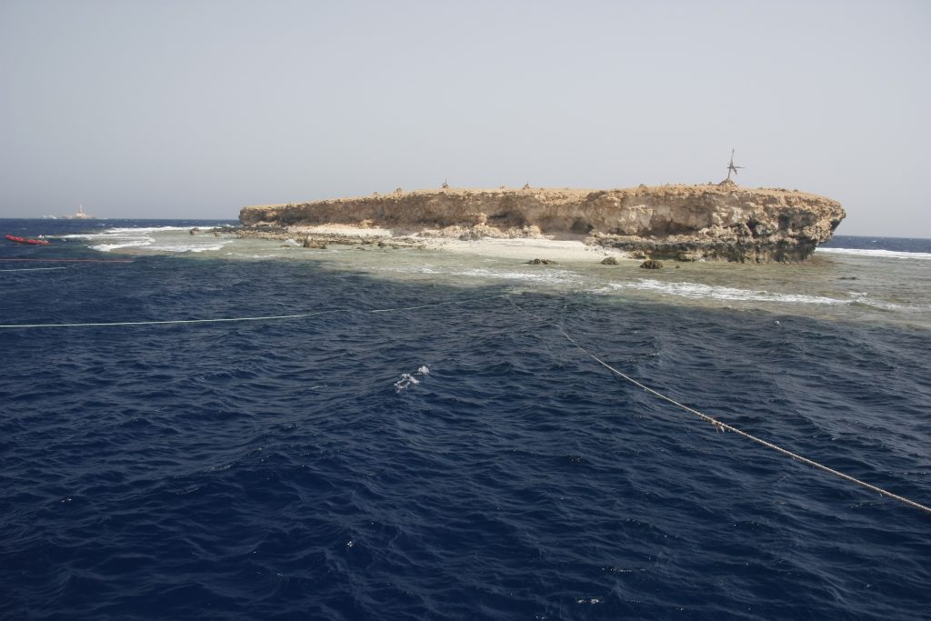 Little Brother, Red sea