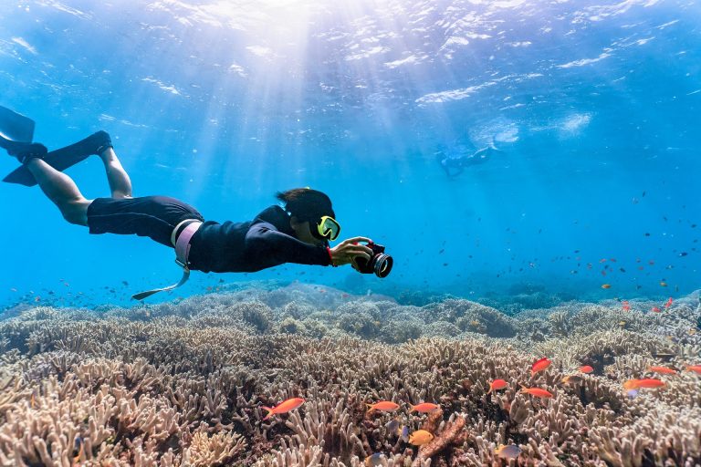 diving Kanenori