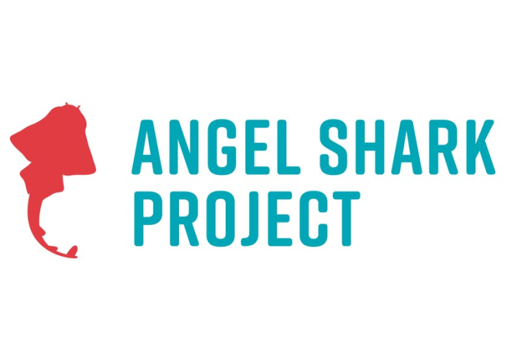 Angel shark project