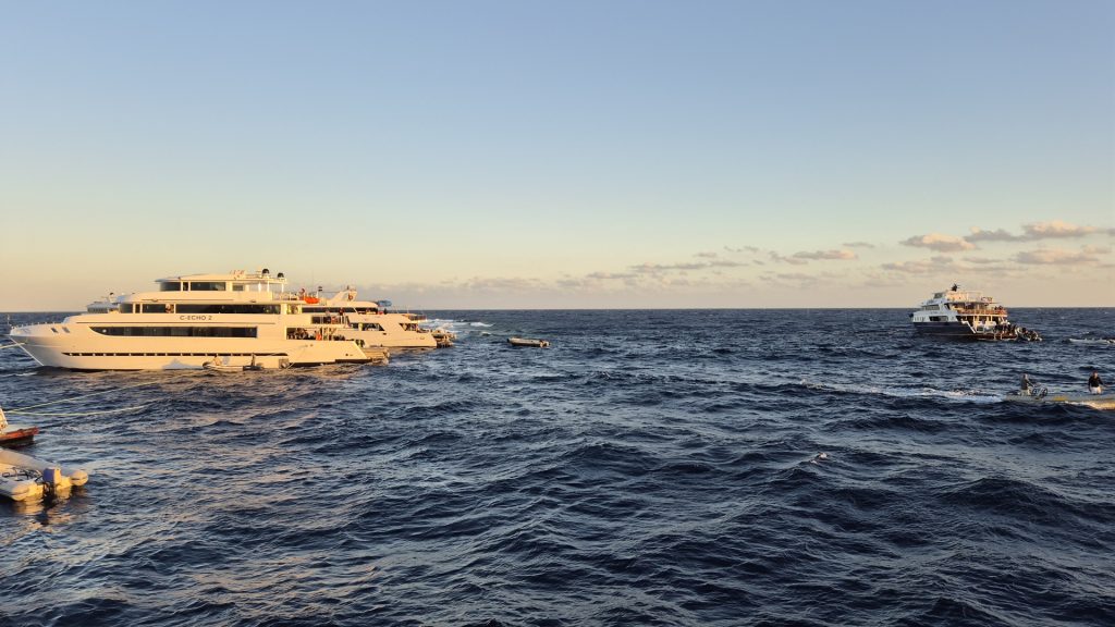 Elphinstone reef, Red Sea, Egypt