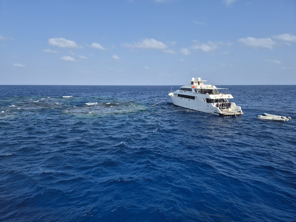 Maksour dive site, Red Sea