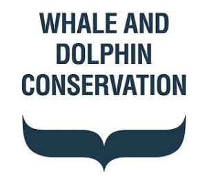whale and dolphin conservation logo