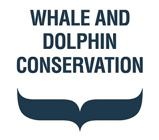 whale and dolphin conservation logo