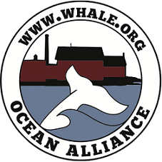 ocean alliance logo