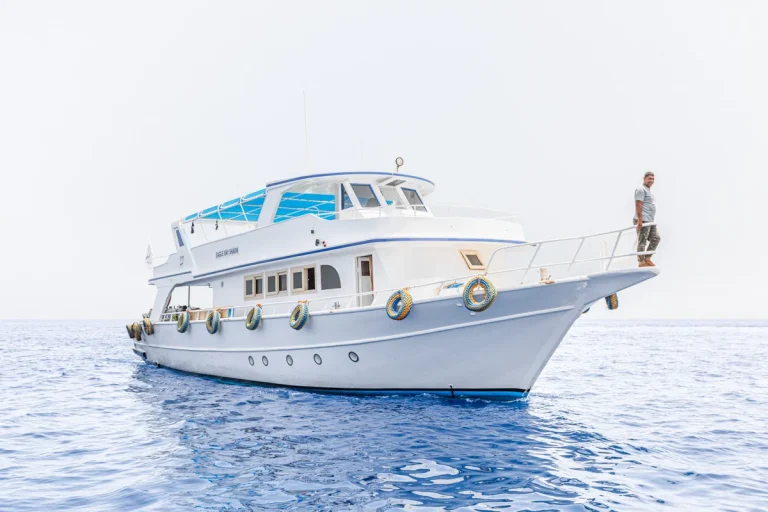 circle-divers-sharm3