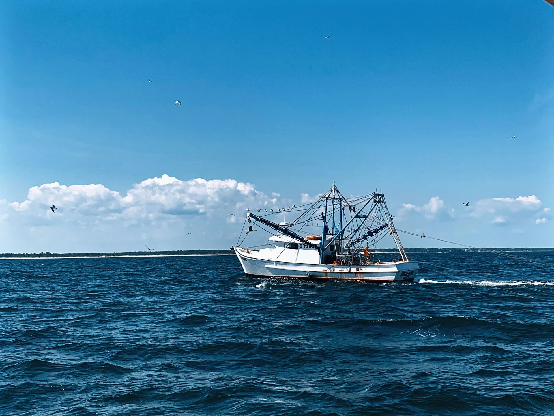 fishing boat on the sea