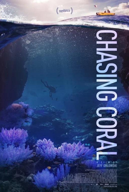 chasing coral 760