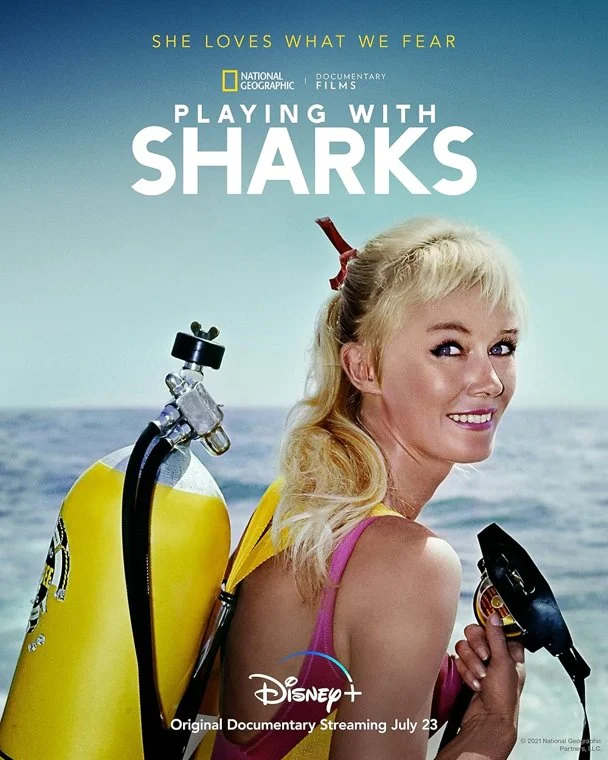playing with sharks the valerie taylor story 760