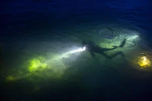 diver during a night dive