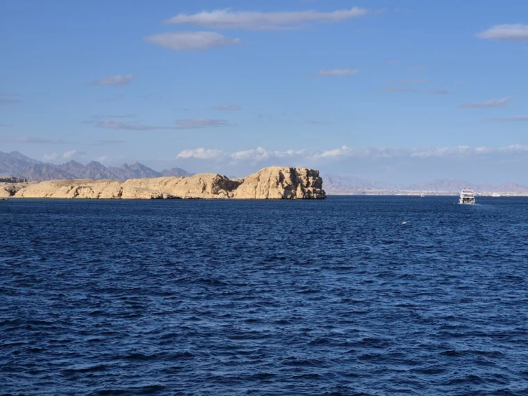 shark and yolanda dive site