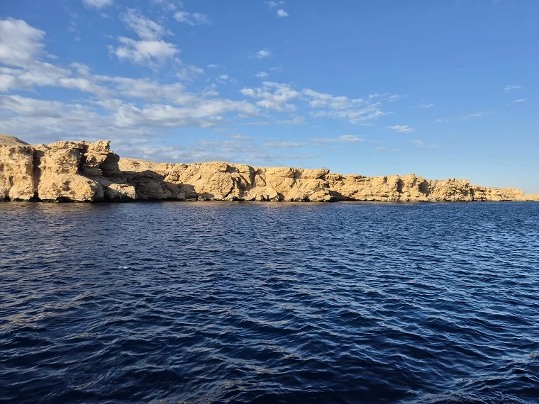 shark and yolanda dive site