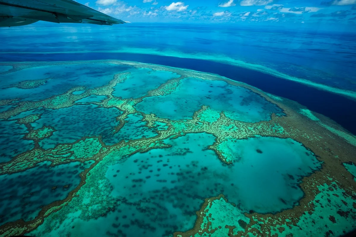 barrier reef by behindthetmuna unsplash