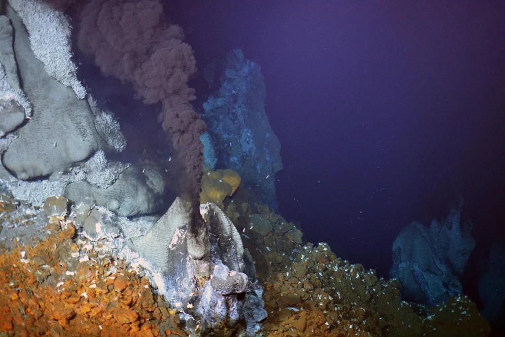 hydrothermal vent black smoker