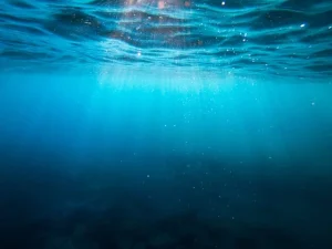 ocean zone