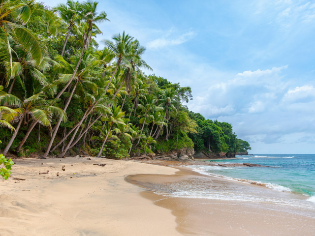 palm beach